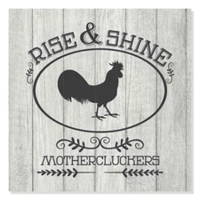 Rise and Shine Rustic Looking Inspiration Funny White Wood Sign B3-12120062018