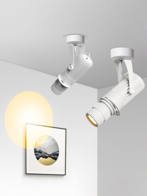 LED COB Ceiling Light Picture Spotlight Focus Lamp Adjustable Aperture Teahouse