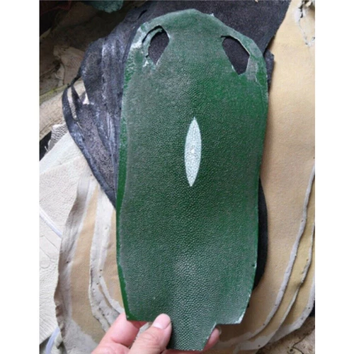 Real Polished Stingray Shagreen Fish Skin Leather Soft Hide Pelt Various colors - Picture 19 of 26