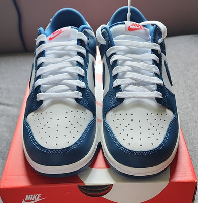 Nike Dunk Low Retro Valerian Blue/White Men's Nike Dunk DD1391-400 2023