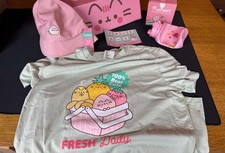 Pusheen Summer 2024 Partial Box Size Large