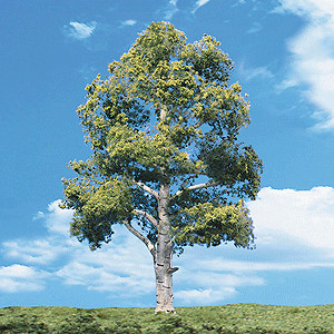 Woodland Scenics 3535 All Scale WCT Waters Edge 4 a 5" (10,1 a 12,7c | Zustand: New