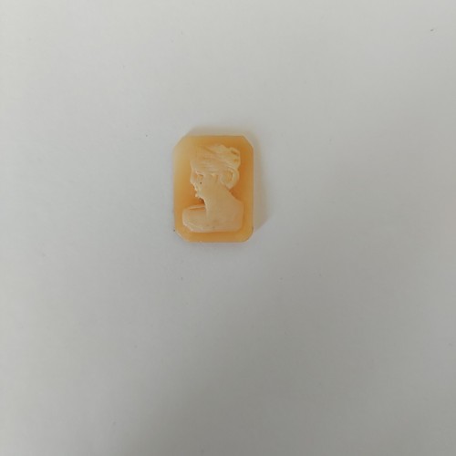 CAMMEI-CAMEI-CAMEO-CONCHIGLIA-VECCHIO PICCOLO CAMMEO-TORRE DEL GRECO-ANNI 40-* - Bild 1 von 2