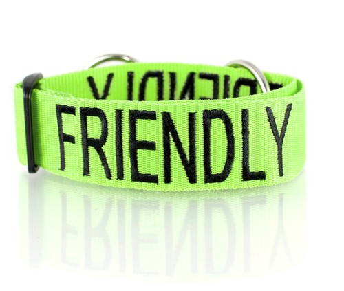 Warning Dog Colour Coded Collar Lead Harness CAUTION, TRAINING Sizes & Styles - Picture 18 of 39