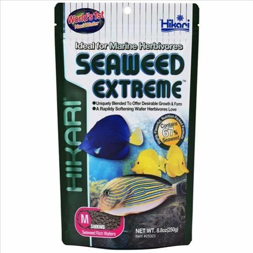 Hikari Seaweed Extreme Medium Sinking Wafer 250g Marine Herbivores Fish Food - Picture 1 of 6