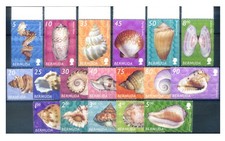 Bermuda shorts. Complete 2002 vintage.