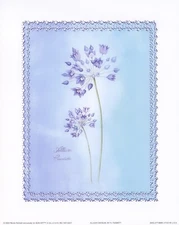 Nicola Rabbett Botanical Prints Lace and Flowers Set of 4 8x10 in