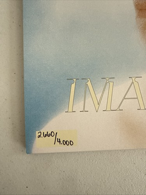 #ad Magdalena Bay Imaginal Disk Blood Recs Records Numbered Vinyl LP 4000 IN HAND $99.99