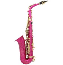 Alt Saxophon Es Rosenrot mit Tasche & Zubehör Anfänger Fortgeschritte Sax Neu