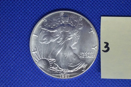 Uncirculated 1 Oz .999 Fine Silver 1987 US Walking Liberty One Dollar One Owner