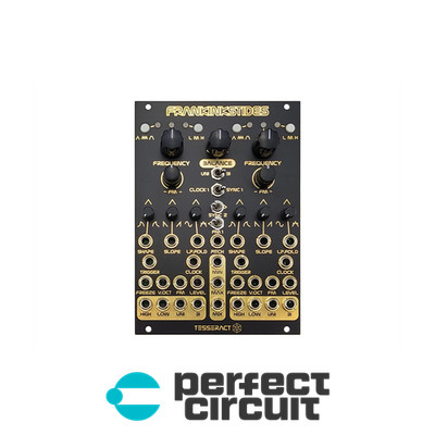 Tesseract Modular FranKinksTides Modular EURORACK - B-STK - PERFECT CIRCUIT