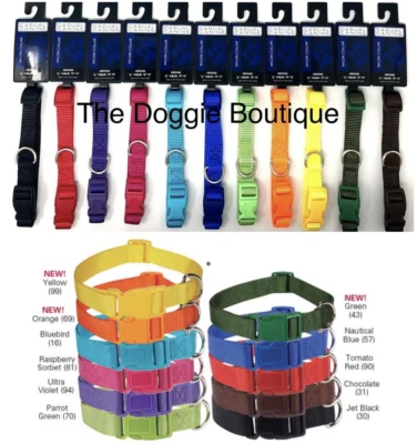 Casual Canine Dog Puppy Collar Bulk Rescue Shelter Nylon 11 Colors XS S M L