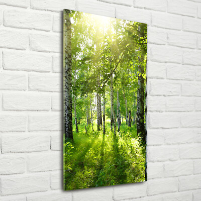 Wandbild Kunst-Druck auf Hart-Glas hochkant 70x140 Birkenwald