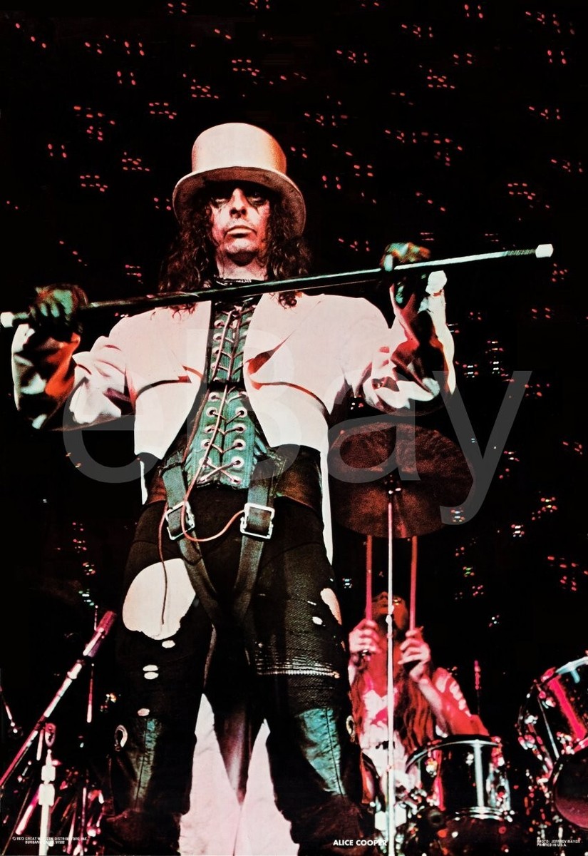 ALICE COOPER 1973 24 x 35 Commercial Record Store Restored Poster