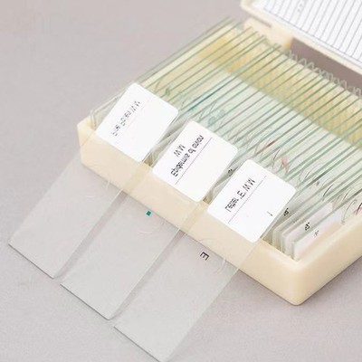 Inspiring Young Minds with Children's Prepared Microscope Slide Collection