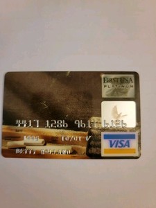 First USA Bank Platinum Visa Expired 2001 New And Unsigned