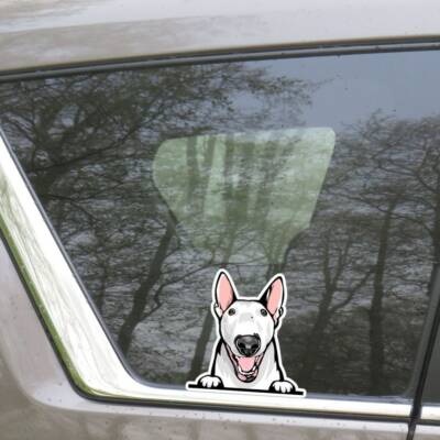 2 Decalcomanie NEW HOLLAND Per Il Peso Di Sicurezza Del Paraurti Del Trattore (pretagliato) - FARMMODELS NH-004068 1/32 - Adesivi New Holland - Foto 2