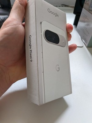 Google Pixel 9 Porcelain, OVP, Rechnung, Garantie, Case