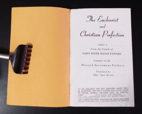 DIE EUCHARISTIE UND CHRISTLICHE VOLLKOMMENHEIT (Teil 1) - St. Peter Julian Emyard (1948) - Bild 8 von 10