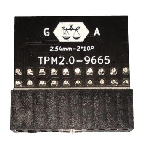 20pin Protection Module For ASUS TPM-L R2.0/GC-TPM2.0 Compatible For Intel AMD