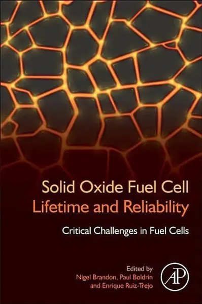 Nigel Brandon | Solid Oxide Fuel Cell Lifetime And Reliability | Taschenbuch-image