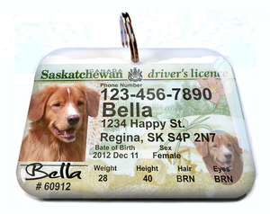 Download Custom Pet Tags Canada Images