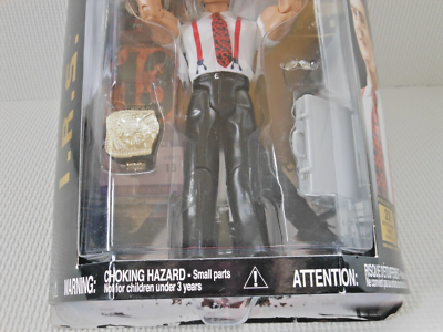 WWE Classic Superstars 11 Rick Steiner Wrestling Figure for sale