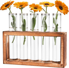 Desktop Glass Plant Propagation Station With 5 Test Tubes In Wooden Stand 5Tubes