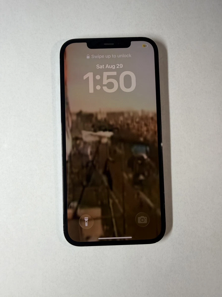 Las mejores ofertas en Apple iPhone 12 Pro Max 256GB | eBay