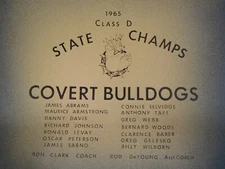 RARE1965 Covert, MI Bulldogs State Champs Class D ~ This is a broiler tray