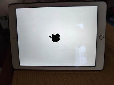 Apple iPad Air 2 · 16GB · Cellular
