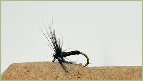 Lot De 12 Mouches Sèches Black Ant (Fourmis Noires Ailées) - Tailles Mixtes 12/14/16 - Pour La Pêche à La Truite