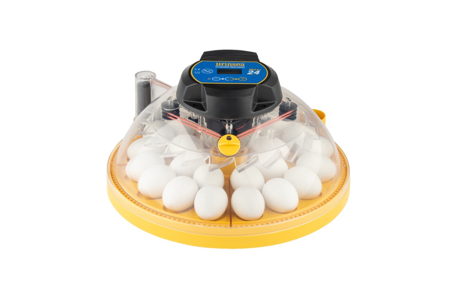 Brinsea Maxi 24 Advance Egg Incubator (24 EGGS) (Poultry, Ducks, Hatching)