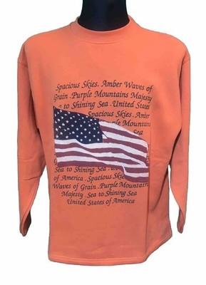 Lot Sweatshirts Printed American Flag 4 Colors 16 Pieces Various Sizes