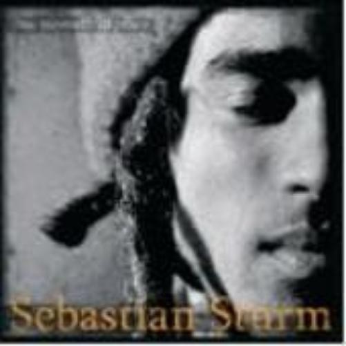 Себастьян Штурм Мгновение покоя (CD)