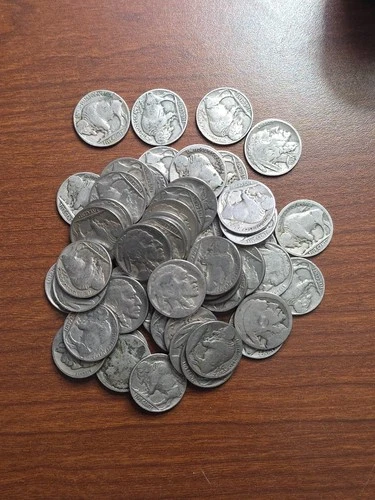 buffalo nickels lot 50