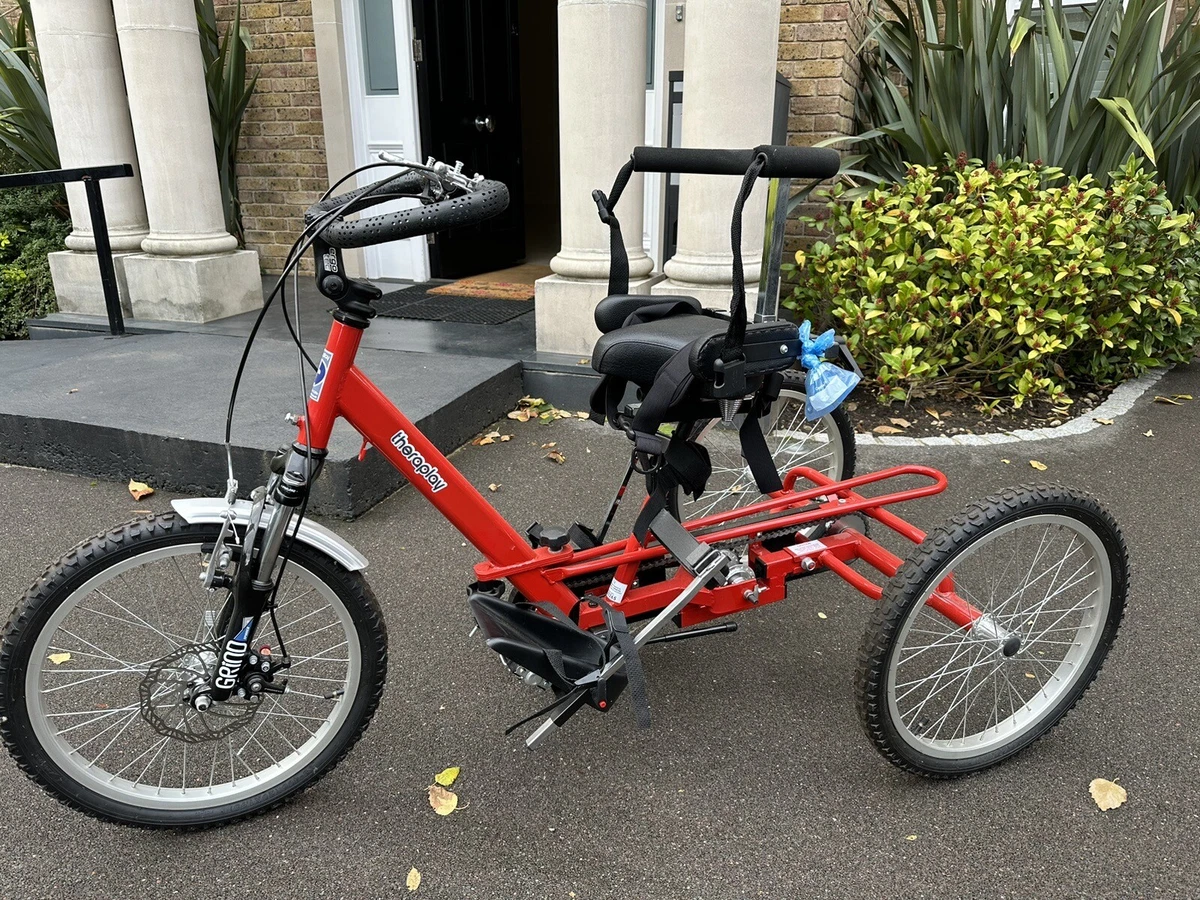 Theraplay trikes deals