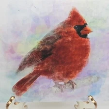 4x6 Northern Red Cardinal Watercolor Illustration‎ Art Painting Print