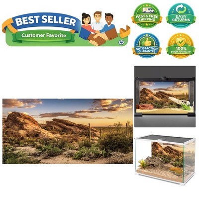 Reptile Habitat Background Blue Sky Oasis Cactus Sun and Desert Terrarium Bac...