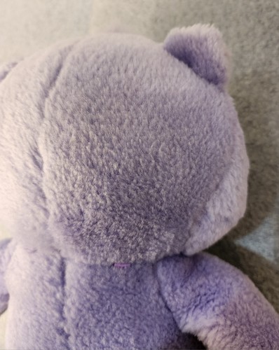 2006 Harmony Bear 12” Care Bears Plush - Picture 12 of 19