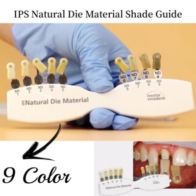 Dental IPS Natural Die Material Shade Guide Ivoclar Vivadent ND1-9 Abutment