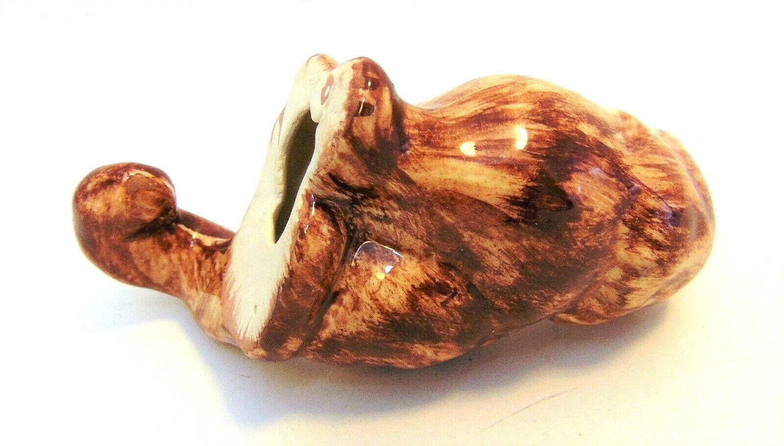 Picture 5 of 5