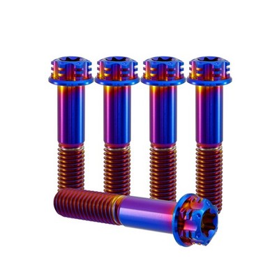 M10 Titanium Bolts Titanium Torx Bolt Flanged Bolt Motorcycle Bolt Hex Bolt 3PCS