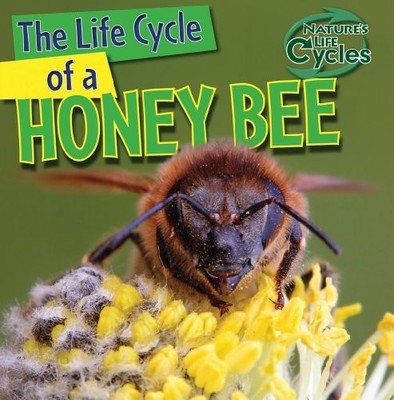 THE LIFE CYCLE OF A HONEYBEE (NATURE'S LIFE CYCLES) By Barbara M Linde BRAND NEW