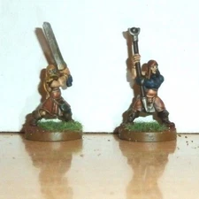 2 METAL DUNGEONS DRAGONS PATHFINDER CELTOS D 25mm PAINTED WARRIORS FIGHTERS WODE