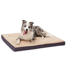 BDEUS Orthopedic Dog Beds for Small, Medium, Large Dogs Up to 50 to 100 lbs