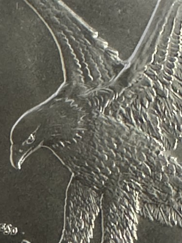 2025 American Silver Eagle PCGS MS-70 First Strike 1 of 2025 Gold Foil Label - Picture 11 of 18