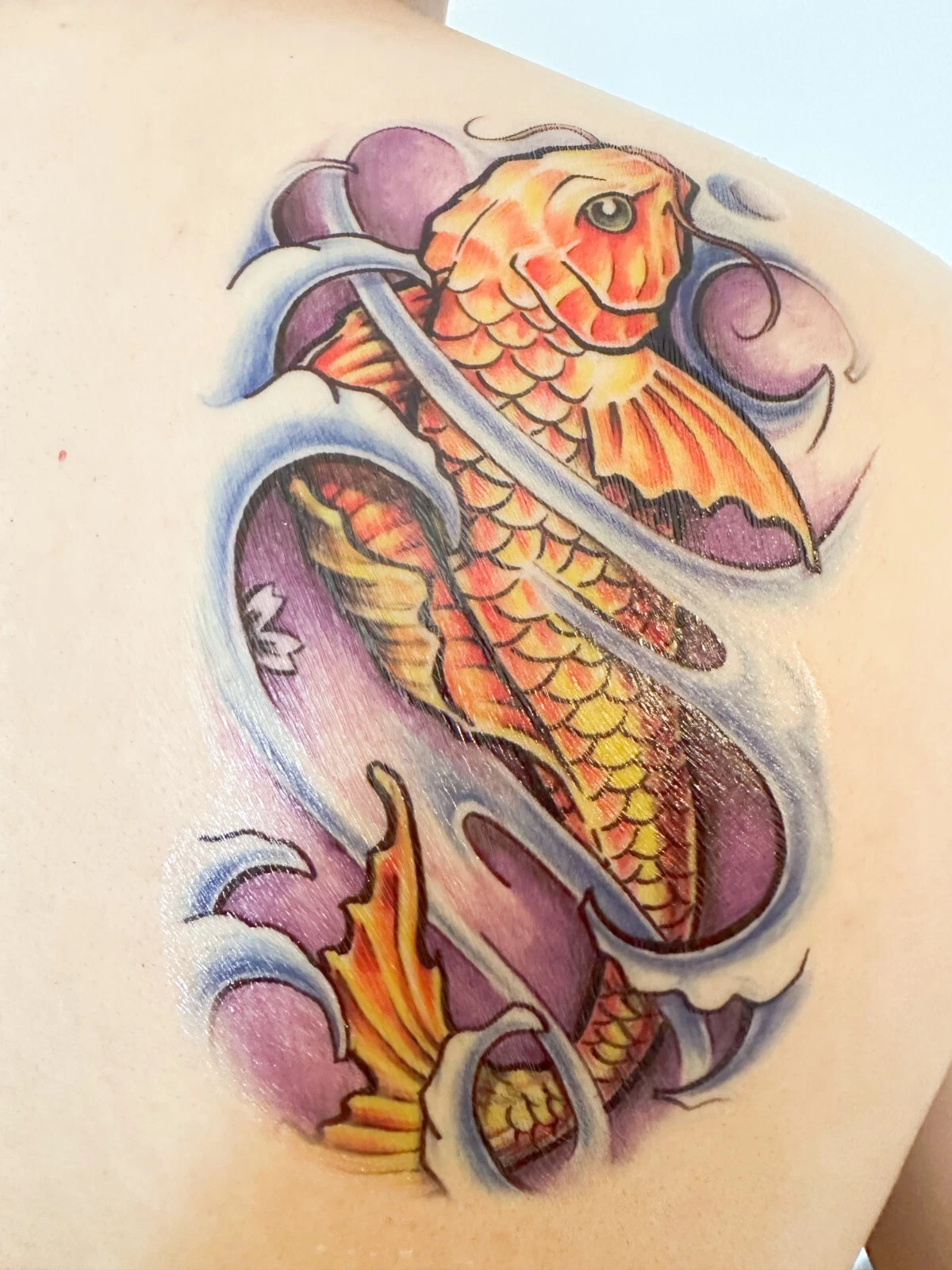Picture 2 of 35