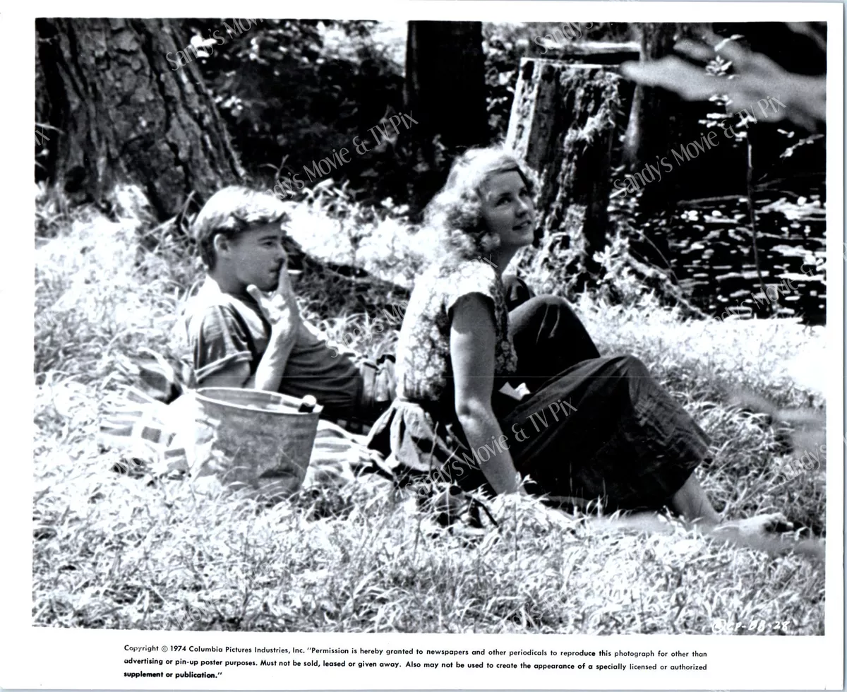 JAN-MICHAEL VINCENT, JOAN GOODFELLOW Original Movie Photo BUSTER