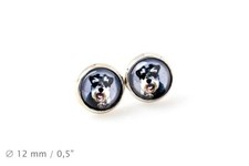 Schnauzer. Pet in Your Ear. Earrings. Photo Jewelry. DE